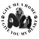 Spaniel Mentes